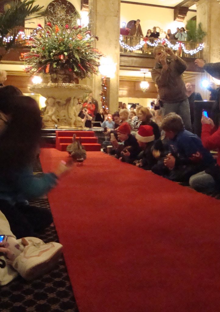 Peabody Duck March