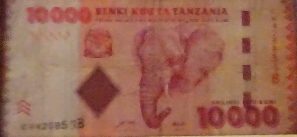 Tanzanian Shillings