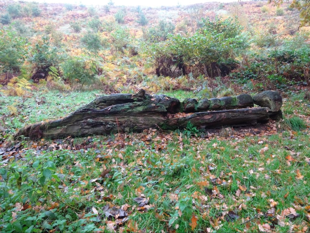 bench-log-lyme-park