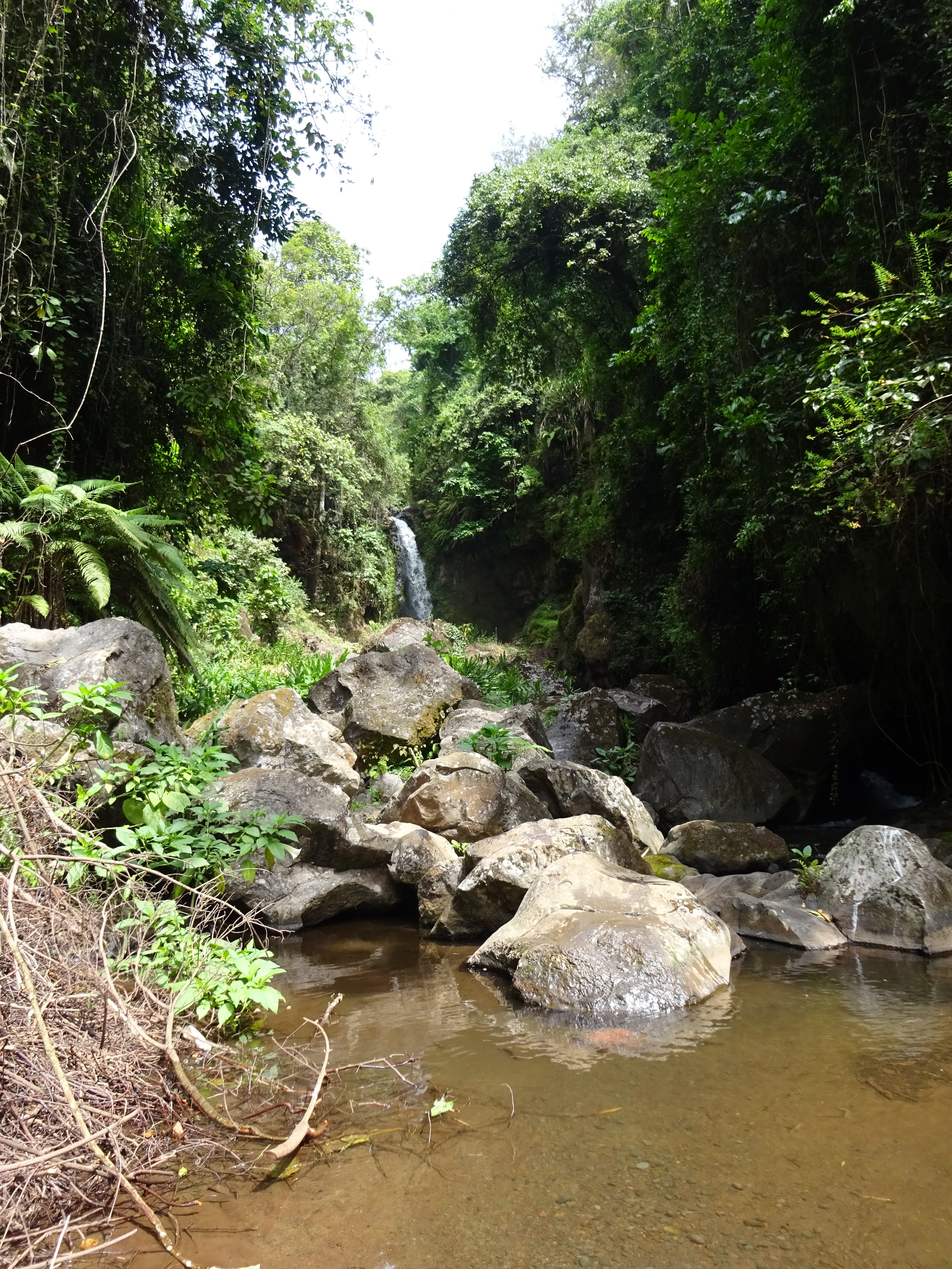 the-waterfall-from-the-bottom-of-the-steps-natpacker