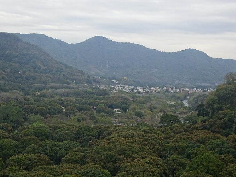 View Of The Town