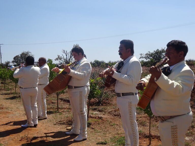 A Mariachi Welcome