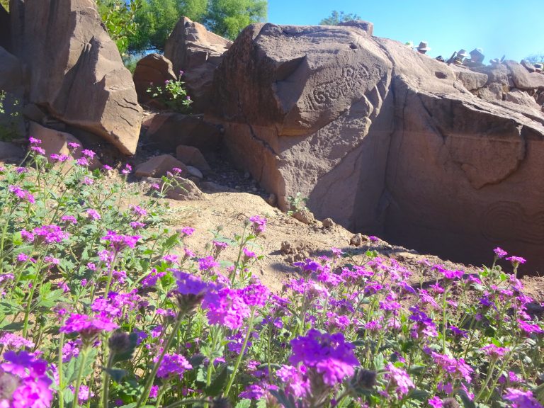 Some Petroglyphs