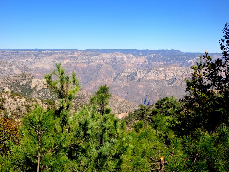 Views From Ruta Panoramica