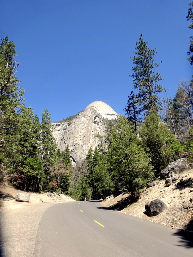 Half Dome From The Road
