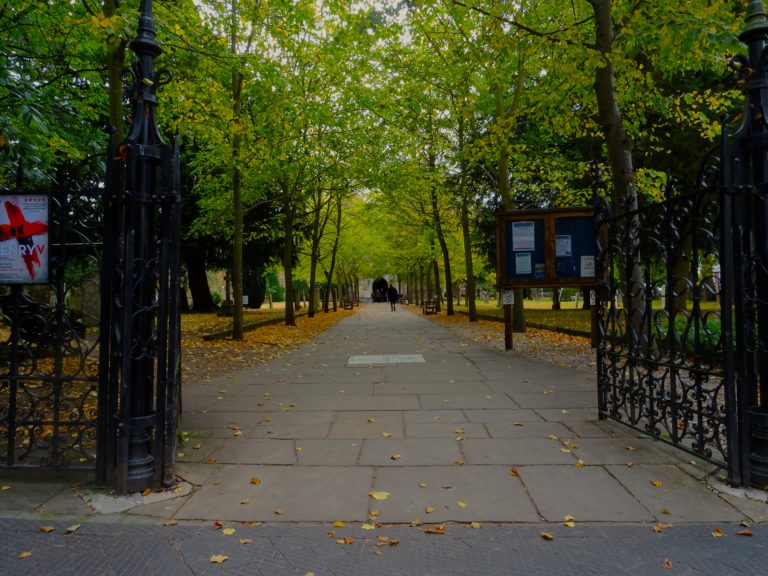 The Lime Trees At Holy Trinity Church