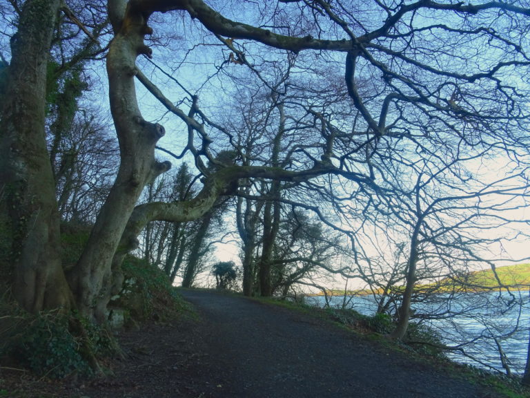 The Tree Where Three Tavern Girls Were Hanged