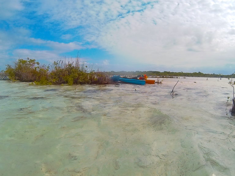 The Pirates Channel Is Shallow Enough To Ground The Kayaks As We Explored