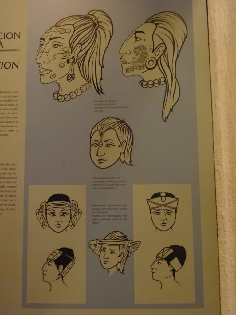 Mayan Head Deformations