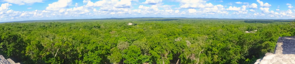 View From The Great Pyramid Calakmul